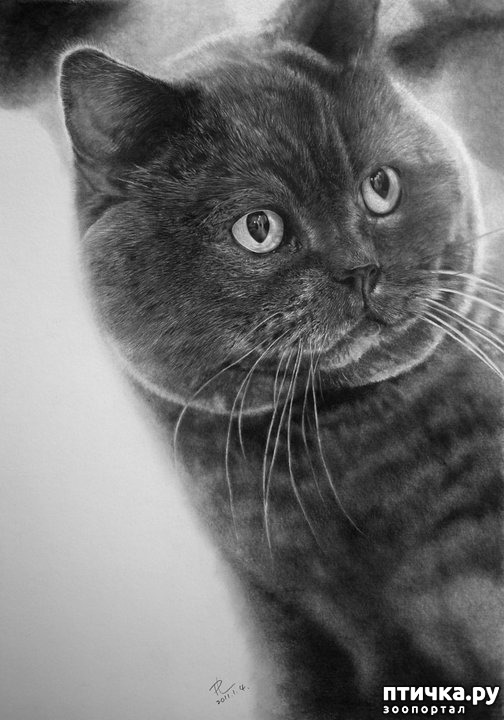 ���� 24: ������ �������-�������� ���� �����.