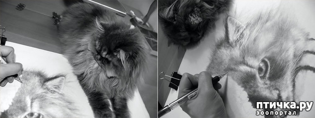 ���� 25: ������ �������-�������� ���� �����.