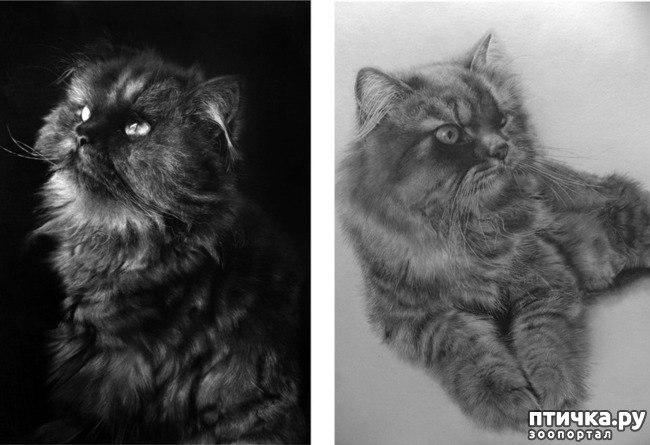 ���� 26: ������ �������-�������� ���� �����.