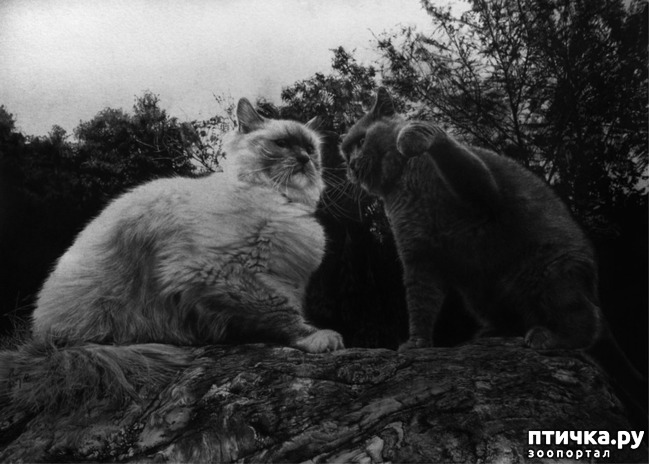 ���� 27: ������ �������-�������� ���� �����.