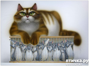 ����: ����� ���� ����� � ���� ��������������.