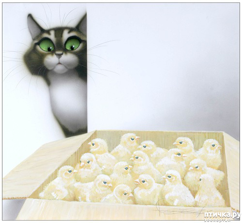 ���� 3: ����� ���� ����� � ���� ��������������.