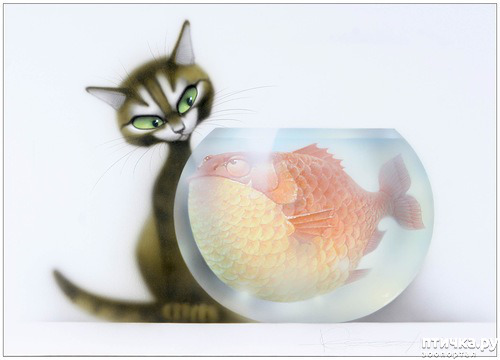 ���� 6: ����� ���� ����� � ���� ��������������.