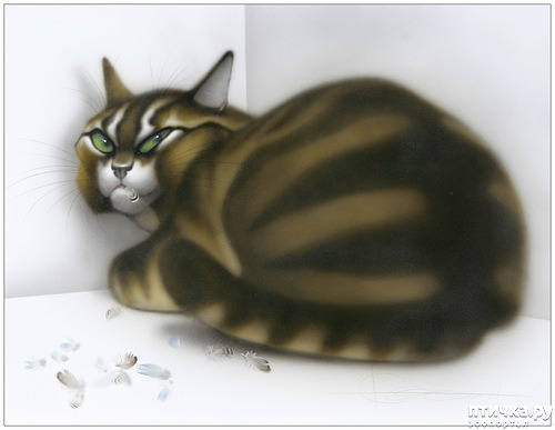 ���� 7: ����� ���� ����� � ���� ��������������.