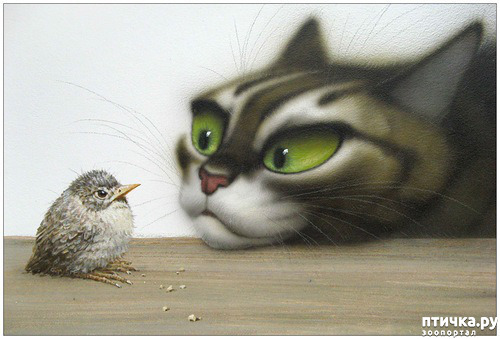 ���� 11: ����� ���� ����� � ���� ��������������.