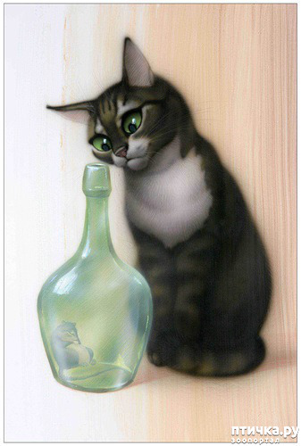 ���� 12: ����� ���� ����� � ���� ��������������.