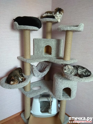 ����: ����-���, ����-���. � ������ ������ ���)))