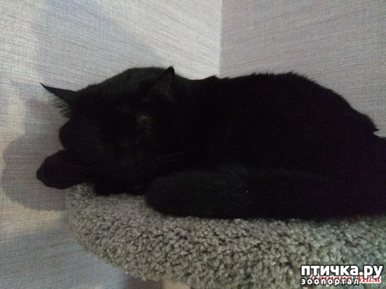 ���� 3: ����-���, ����-���. � ������ ������ ���)))