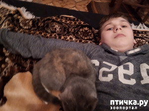 ����: �����