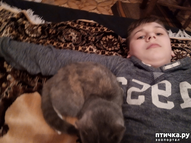 ���� 1: �����