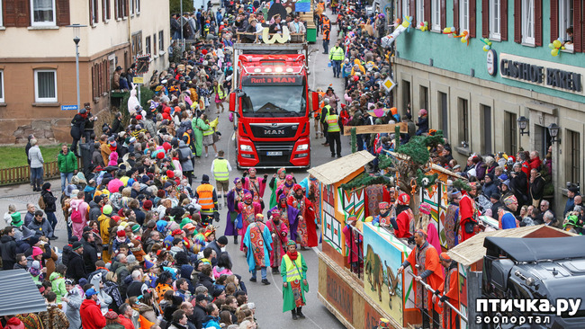 ���� 1: � ����� ������� ������� ���������� � ���������� ��������