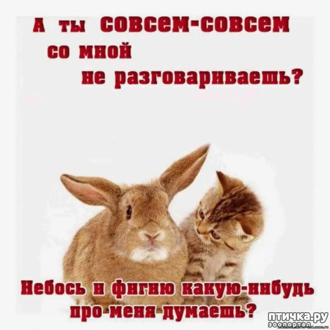  1: !