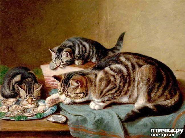 ���� 2: ������ ������� ����� ������� (Couldery Horatio Henry)