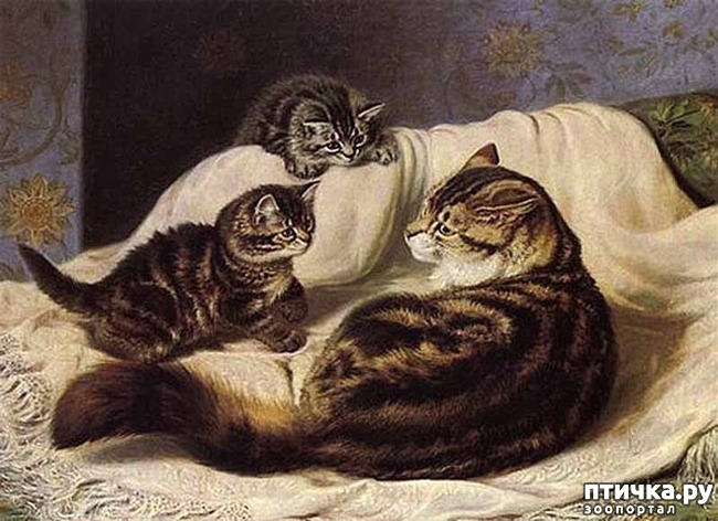 ���� 4: ������ ������� ����� ������� (Couldery Horatio Henry)