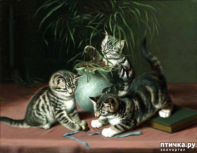 ���� 3: ������ ������� ����� ������� (Couldery Horatio Henry)