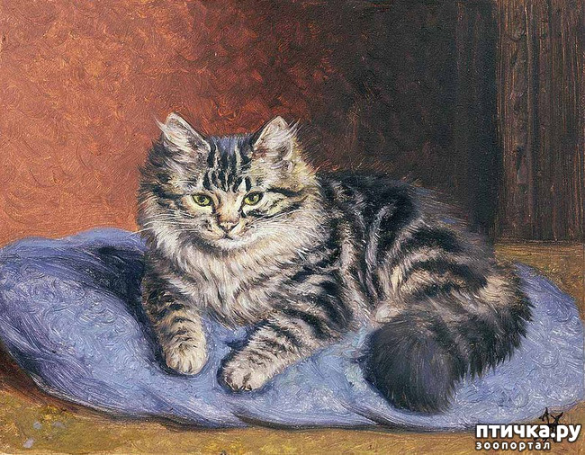 ���� 5: ������ ������� ����� ������� (Couldery Horatio Henry)