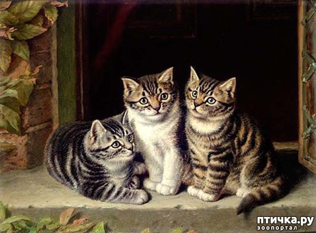 ���� 7: ������ ������� ����� ������� (Couldery Horatio Henry)