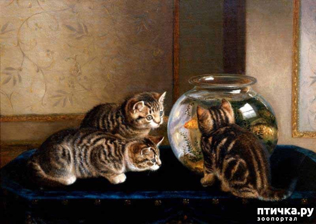 ���� 10: ������ ������� ����� ������� (Couldery Horatio Henry)