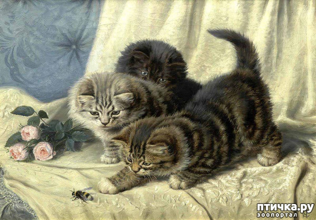 ���� 8: ������ ������� ����� ������� (Couldery Horatio Henry)