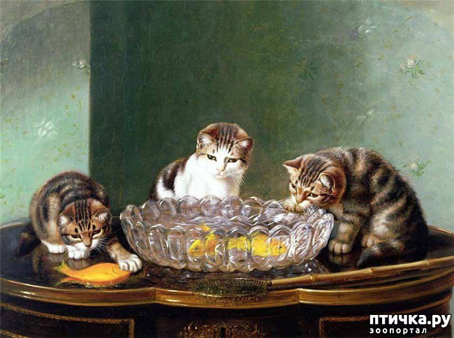 ���� 11: ������ ������� ����� ������� (Couldery Horatio Henry)