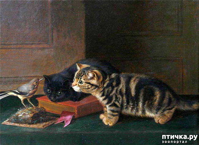 ���� 12: ������ ������� ����� ������� (Couldery Horatio Henry)