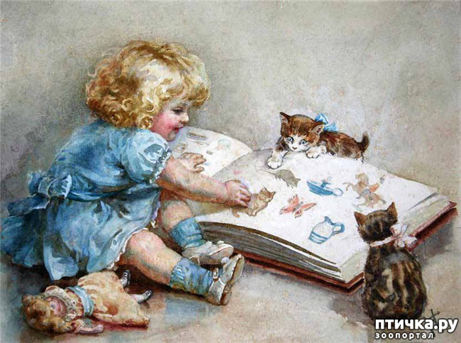 ���� 13: ������ ������� ����� ������� (Couldery Horatio Henry)