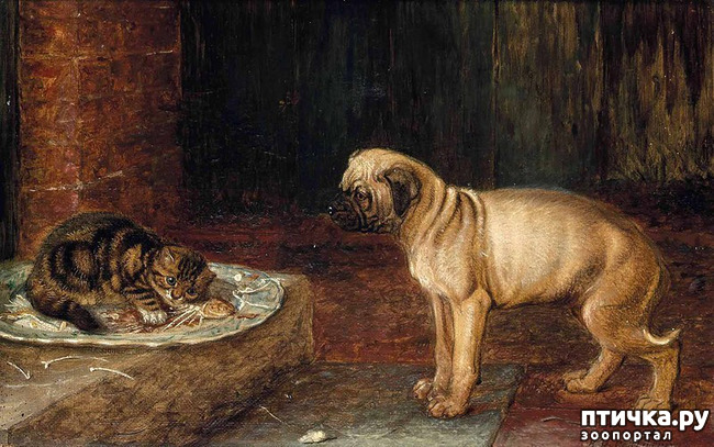 ���� 15: ������ ������� ����� ������� (Couldery Horatio Henry)