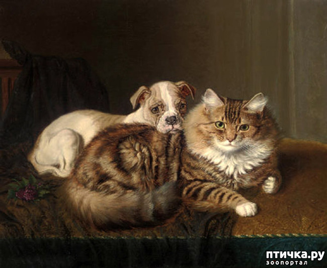 ���� 17: ������ ������� ����� ������� (Couldery Horatio Henry)