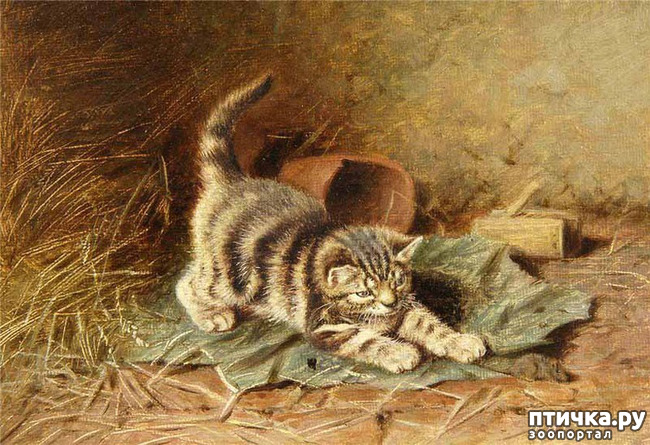 ���� 14: ������ ������� ����� ������� (Couldery Horatio Henry)