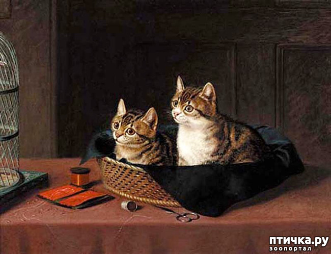 ���� 18: ������ ������� ����� ������� (Couldery Horatio Henry)