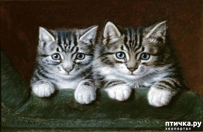 ���� 21: ������ ������� ����� ������� (Couldery Horatio Henry)