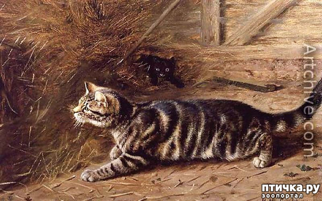 ���� 22: ������ ������� ����� ������� (Couldery Horatio Henry)