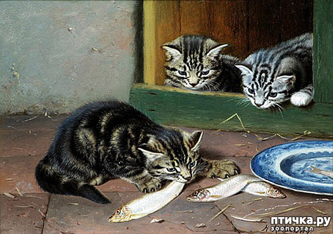 ���� 19: ������ ������� ����� ������� (Couldery Horatio Henry)