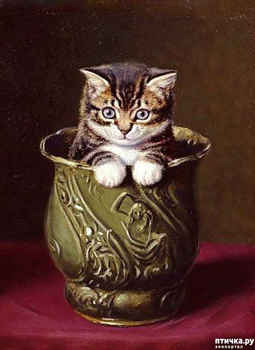 ���� 24: ������ ������� ����� ������� (Couldery Horatio Henry)