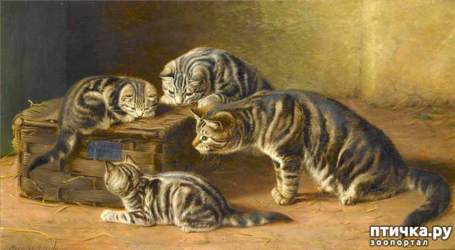 ���� 26: ������ ������� ����� ������� (Couldery Horatio Henry)