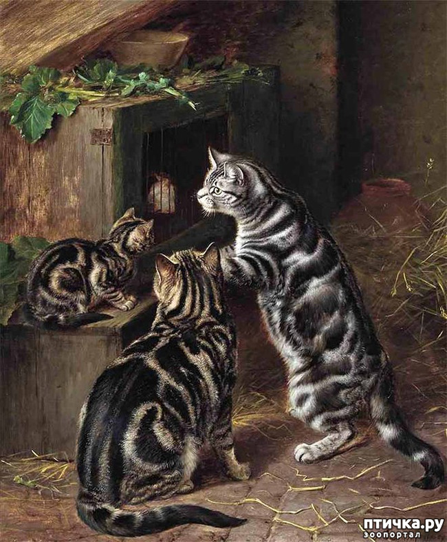 ���� 27: ������ ������� ����� ������� (Couldery Horatio Henry)