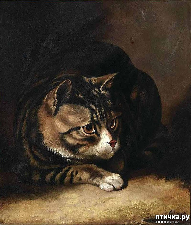 ���� 28: ������ ������� ����� ������� (Couldery Horatio Henry)