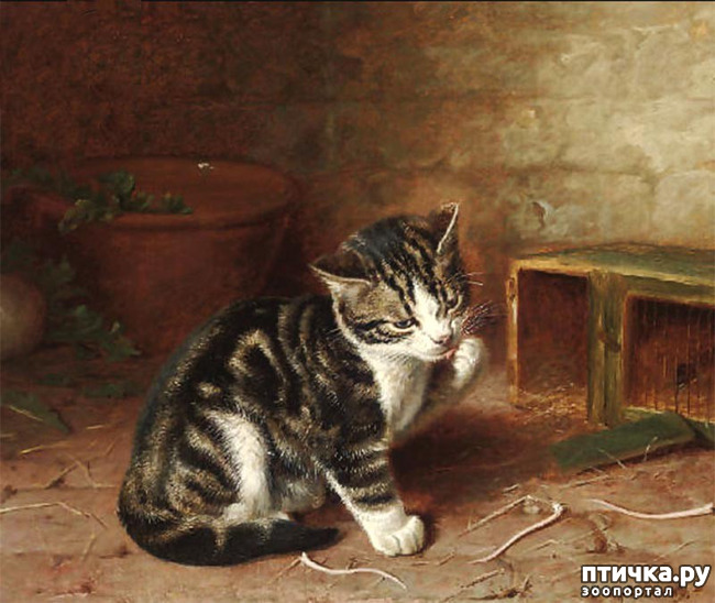 ���� 29: ������ ������� ����� ������� (Couldery Horatio Henry)