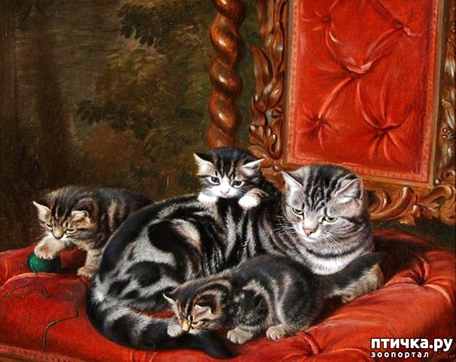 ���� 31: ������ ������� ����� ������� (Couldery Horatio Henry)