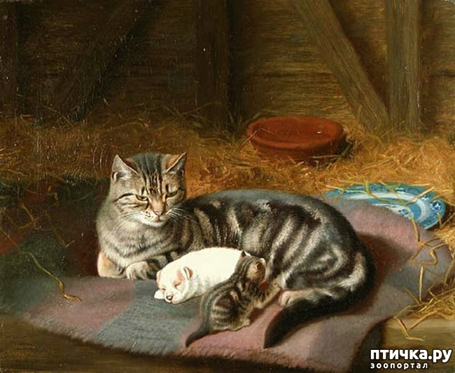 ���� 30: ������ ������� ����� ������� (Couldery Horatio Henry)