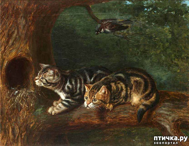 ���� 32: ������ ������� ����� ������� (Couldery Horatio Henry)