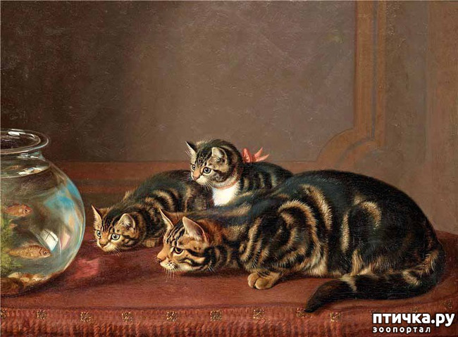 ���� 35: ������ ������� ����� ������� (Couldery Horatio Henry)