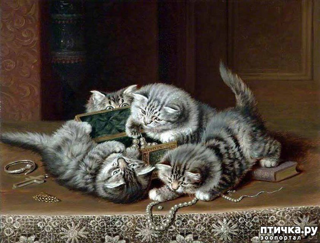 ���� 36: ������ ������� ����� ������� (Couldery Horatio Henry)