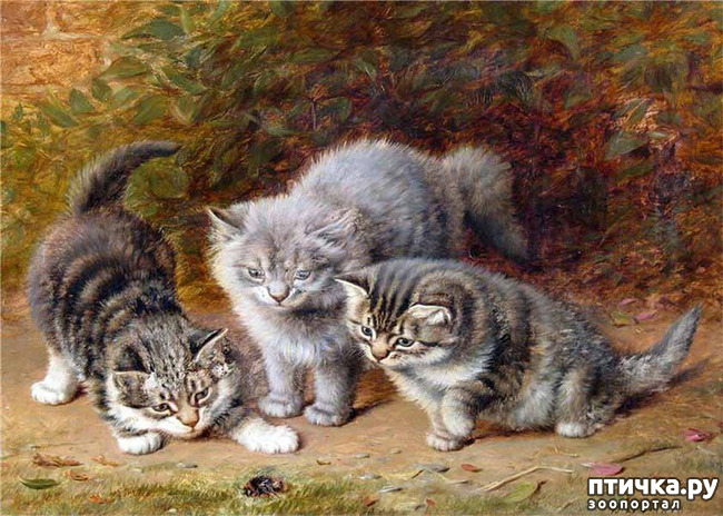 ���� 37: ������ ������� ����� ������� (Couldery Horatio Henry)