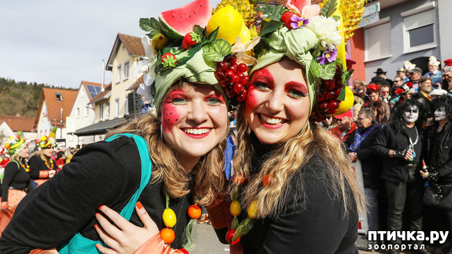 ���� 5: � ����� ������� ������� ���������� � ���������� ��������