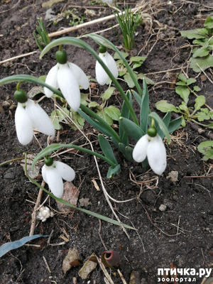 ����: ����� ����!