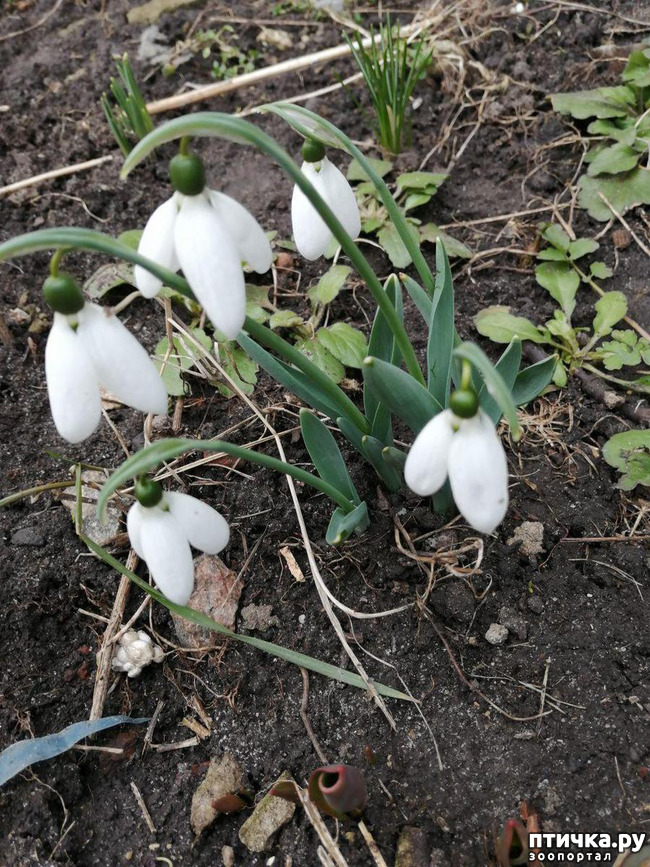 ���� 1: ����� ����!