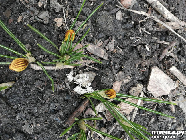 ���� 4: ����� ����!