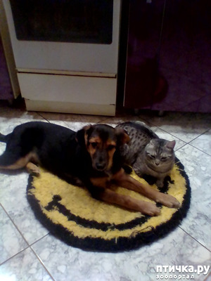 ����: ������ �� ����