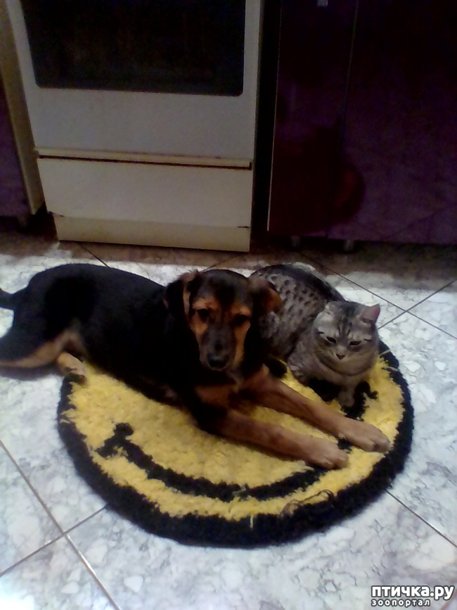 ���� 1: ������ �� ����